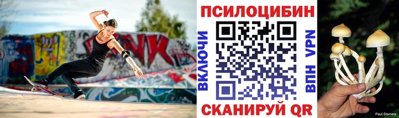 Псилоцибиновые грибы мицелий  Слюдянка 